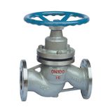 Plunger Globe Valves