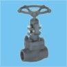 Globe Valve