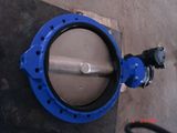 BV1f Single Flange Butterfly Valve