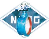 Butterfly Valve-4