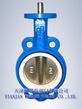 B148 Wafer Butterfly Valve (D71X-10/16)