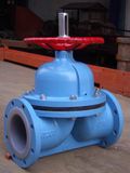 Lined Weir Type Diaphragm Valve