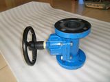 Flange Type Diaphragm Valve