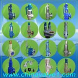 Safety Valve, Relief Valve, Safety Relief Valve