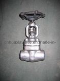 Forged Steel Globe Valve