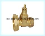 Brass Pump Gate Valve Without Handle Wheel (AV4031)