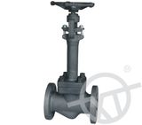 Cryogenic Globe Valves in Pipeline (J61)