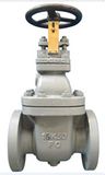 Marine JIS Cast Iron (STEEL) Gate Valve