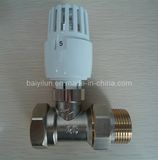 Dn25 Thermostatic Radiator Valve (BYL-6600)