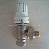 Dn20 Thermostatic Radiator Valve (BYL-6611)