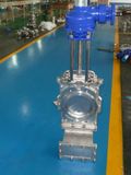 Rising Stem Pn10 Lug Type Knife Gate Valve