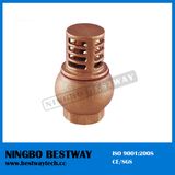 Water Pump Bronze Foot Valve