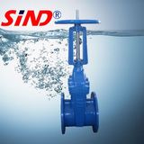 Rising Stem Resilient Soft Seated Gate Valve ANSI125/150