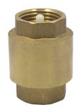 Brass Vertical Check Valve (HS-CV4001)