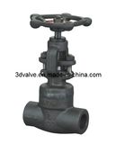 Forged Steel Globe Valve (SW end)