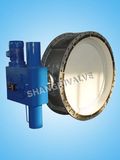 Flanged PTFE Sealed Butterfly Valve (Type: D41F)