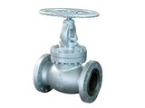 Casting Globe Valve