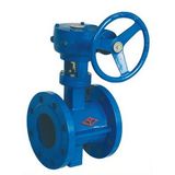 Cast Iron Butterfly Valve