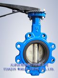 Industrial Lug Type Butterfly Valve (CBF01-TL01)