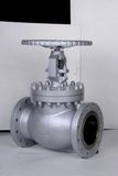 API Globe Valve