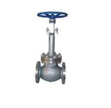 Cryogenic Globe Valve