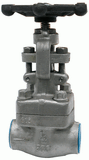 Forged Steel API Globe Valve (FBAXTH-000)