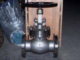 ANSI Globe Valve