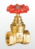 (A) Manufacturer Amico Brass Gate Valve