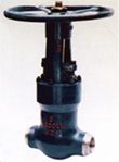 API Power Plant Gate Valve (Z60Y)