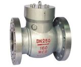 Swing Check Valve