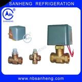 Motorised Valve (DF/F-02-215) with Good Quality