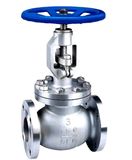 Stainless Steel Through Way Globe Valve