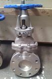 Stainless Steel Rising Stem Knife Gate Valve