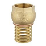 Brass Bottom Foot Swing Check Valve (a. 0501)