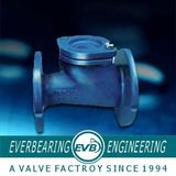 Ball Check Valve (CKV-007-C)