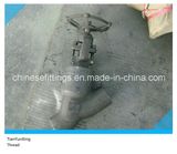 Cl1500 Forged A105n Y Threaded /Thread Globe Valve