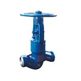 Power Station Globe Valve