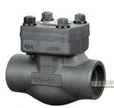 Forged Swing Check Valve