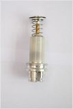 Gas Water Heater Magnet Valve (RBDQ18A)