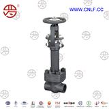 Forged Steel Cryogenic Gate Valve