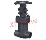 Forged Steel Bellows Seal Globe Valve (J61)