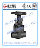 API 602 Forged Steel Gate Valve (Z11H)