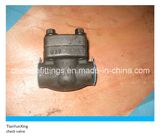 ANSI Forged Steel Piston Type Thread Check Valve