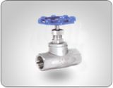 Globe Valve