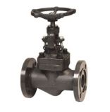 En 13709 Z-type Flanged Bw Forged Steel Globe Valve