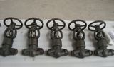 Pressure Seal Forged Globe Valve
