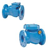 Cast Iron Check Valve (F700)