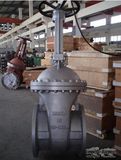 DIN Cast Steel Gate Valve (Z41H)