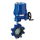 Concentric Butterfly Valve