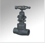 Forged Steel Internal Thread Socket Welded Stop Valve (DTV-J002)